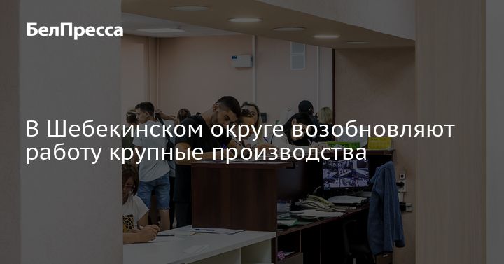 Предприятия и организации Шебекинского городского округа возобновляют работу - реестр актуальных вакансий обновляется и пополняется ежедневно.