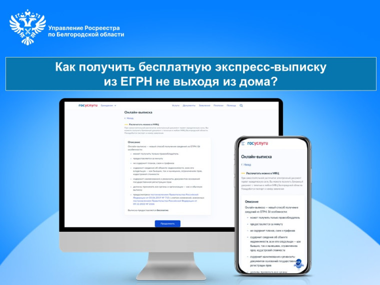 Как получить бесплатную экспресс-выписку из ЕГРН не выходя из дома?.