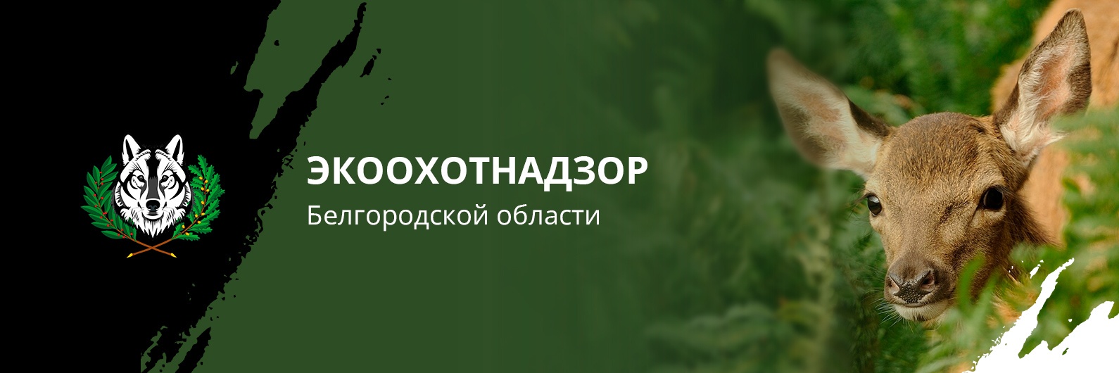 Управление экологического и охотничьего надзора Белгородской области информирует о проведении общественных обсуждений.