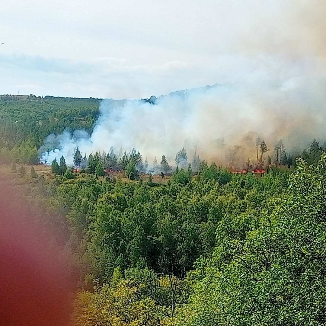 Пожар в лесу.