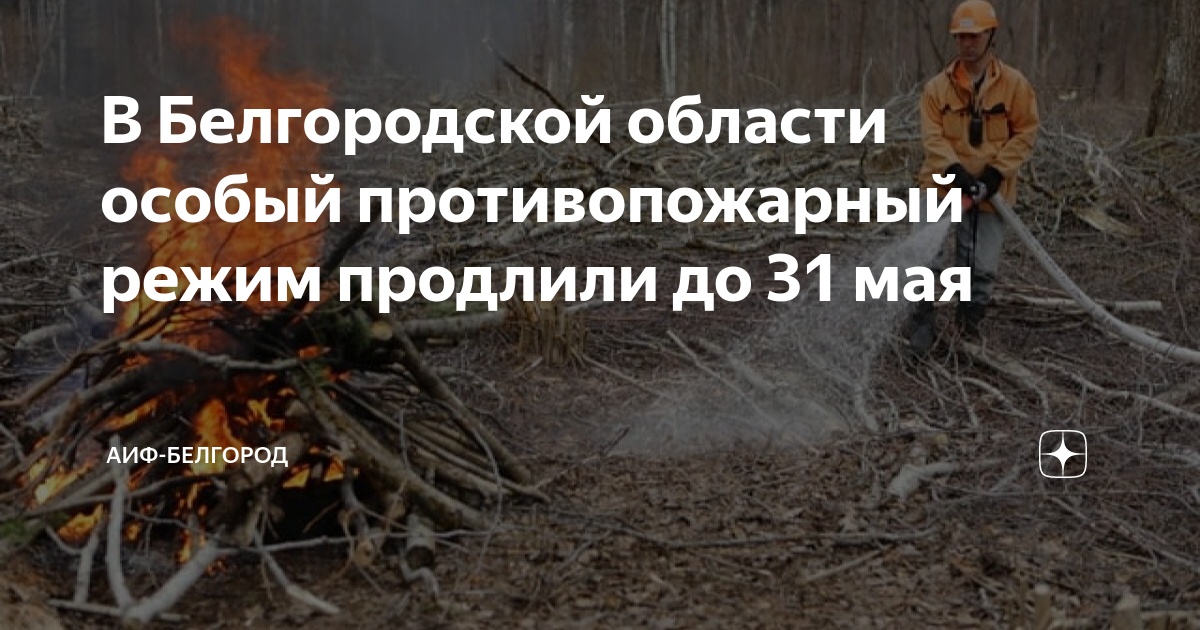 В Белгородской области продлили особый противопожарный режим до 31 мая.