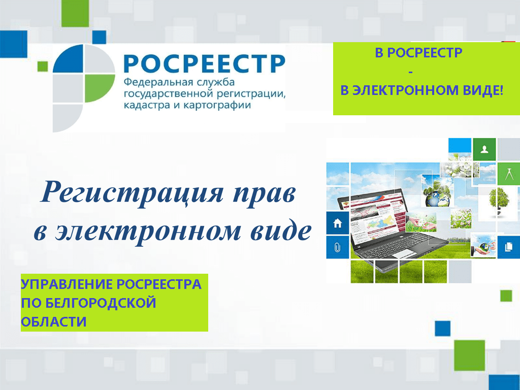 Белгородский Росреестр рассказал о том, как получить сведения из государственного фонда данных, полученных при проведении землеустройства.