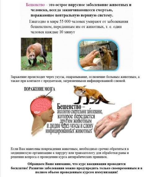 Осторожно БЕШЕНСТВО!!!!!. Осторожно БЕШЕНСТВО!!!!!.