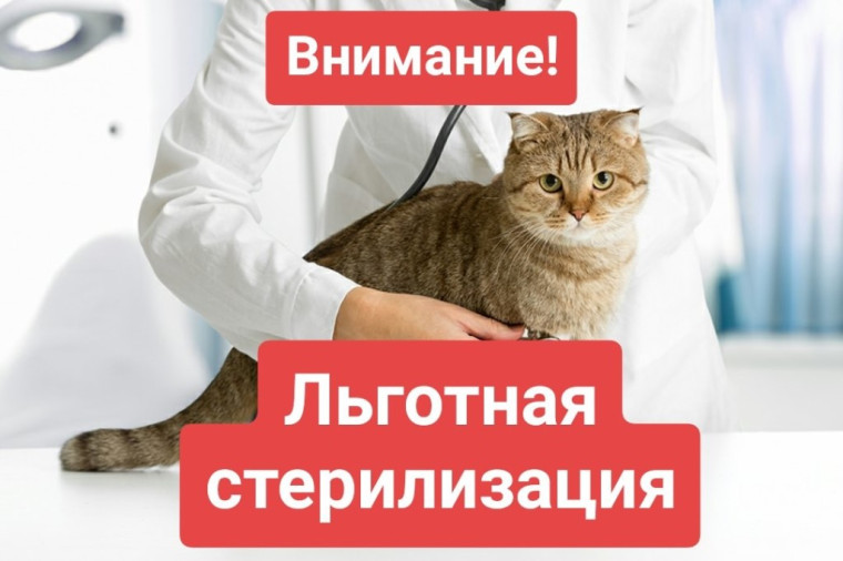 Льготная стерилизация!. Льготная стерилизация!.