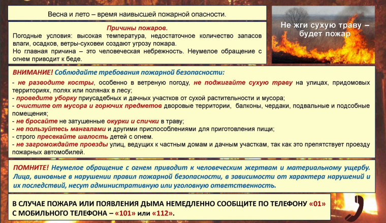 Пожарная безопасность в весенне-летний период. Пожарная безопасность в весенне-летний период.