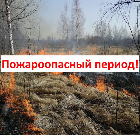 Правила противопожарного режима. Правила противопожарного режима.