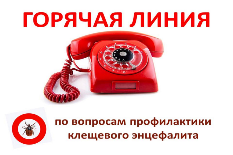 О проведении тематической «горячей линии» по профилактике клещевого энцефалита. О проведении тематической «горячей линии» по профилактике клещевого энцефалита.