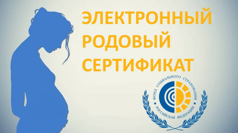 Более 5 тысяч женщин Белгородской области получили услуги по родовым сертификатам. Более 5 тысяч женщин Белгородской области получили услуги по родовым сертификатам.