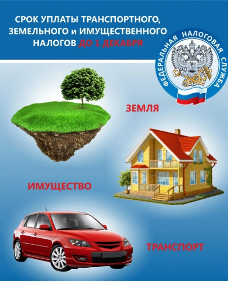 Собственники имущества начали получать налоговые уведомления на уплату имущественных налогов. Собственники имущества начали получать налоговые уведомления на уплату имущественных налогов.