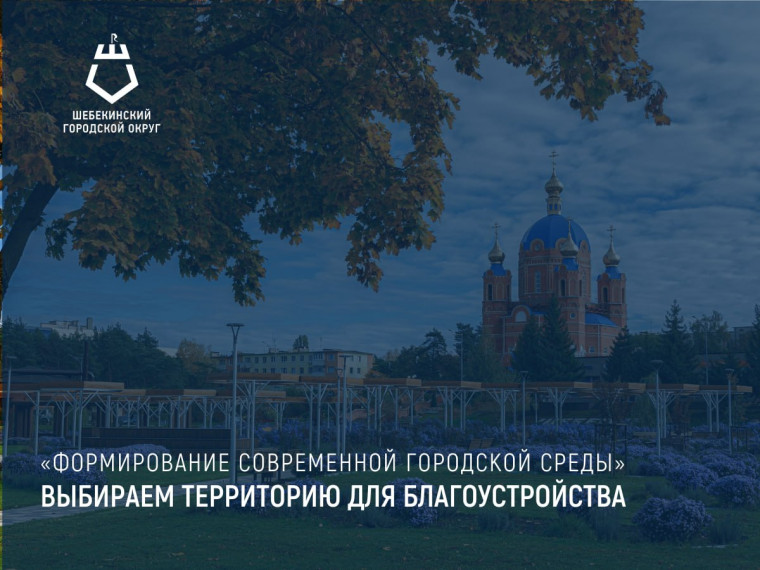 Выбираем территорию для благоустройства. Выбираем территорию для благоустройства.