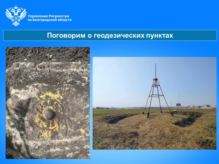 В 2023 году белгородским Роскадастром выдано более 1400 материалов и сведений ГФДЗ. В 2023 году белгородским Роскадастром выдано более 1400 материалов и сведений ГФДЗ.